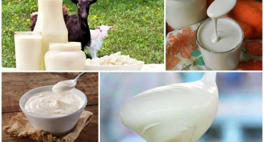 Recepty na výrobu zakysané smetany z kozího mléka doma